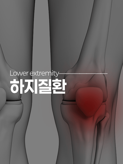 하지질환
