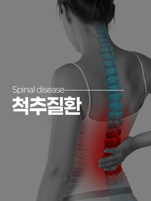 척추질환