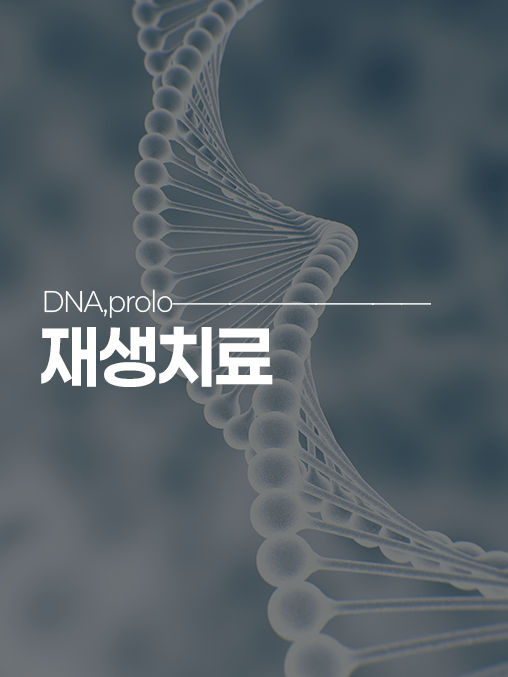 치료법