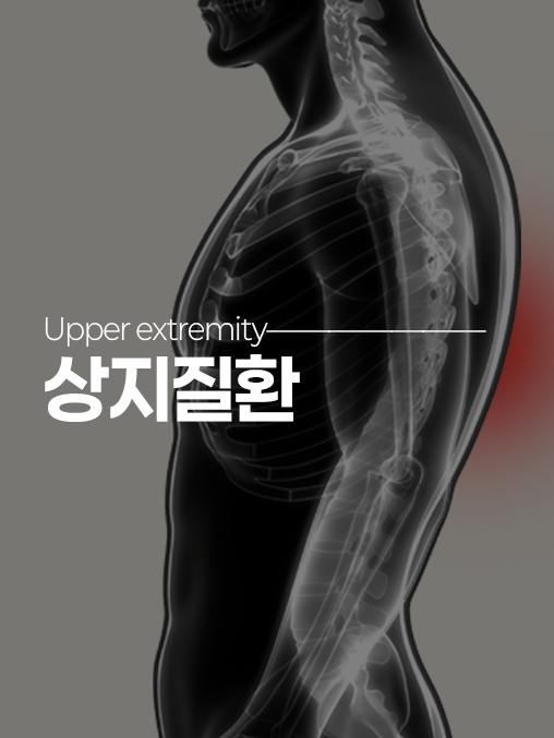 상지질환